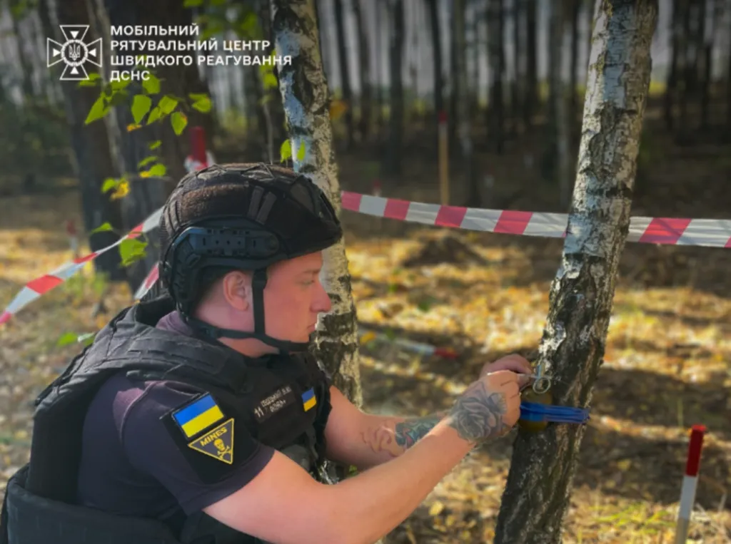 На Київщині знешкодили гранату, прикріплену до дерева