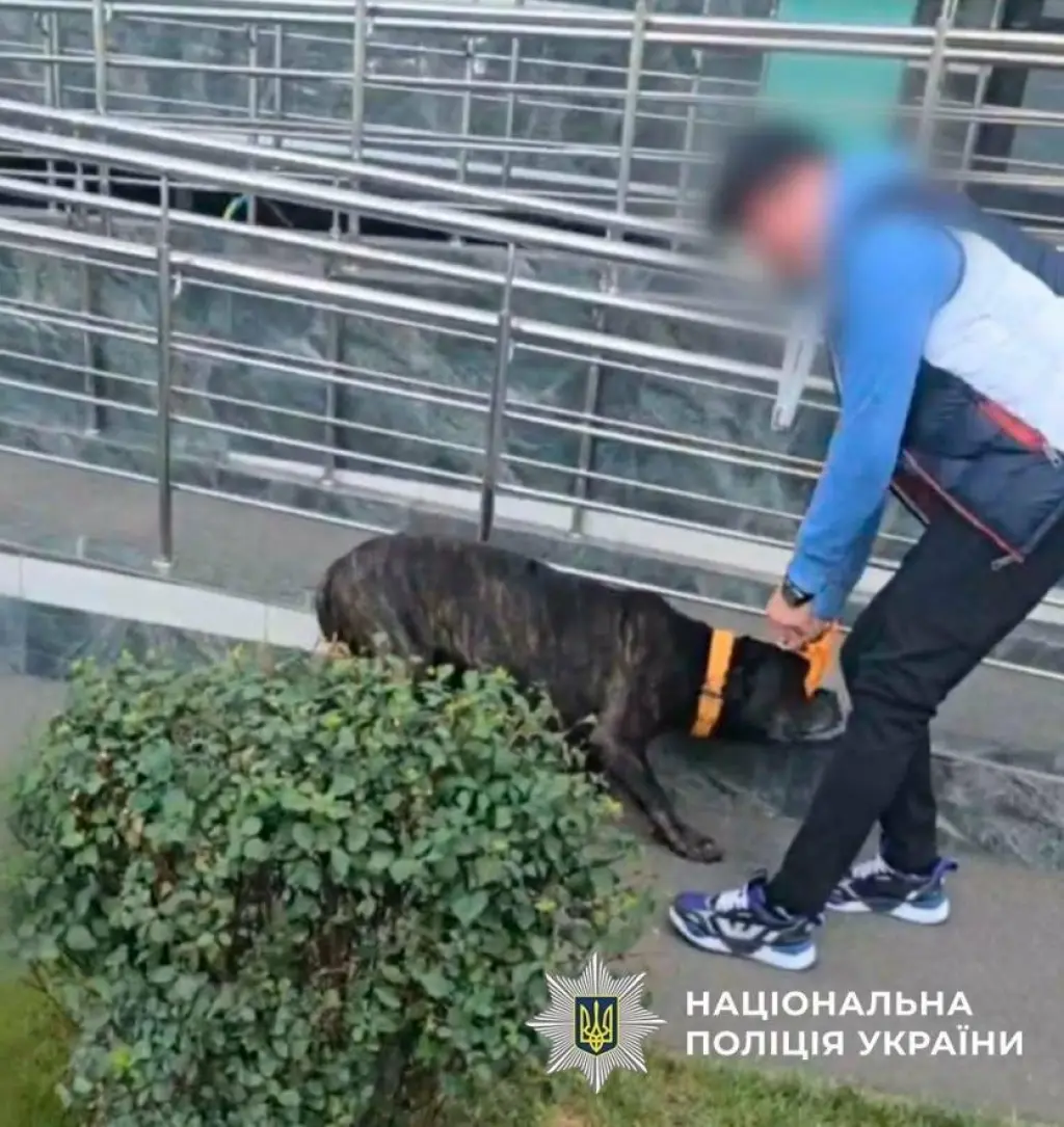 У Києві чоловік бив собаку просто на вулиці: поліція відкрила справу