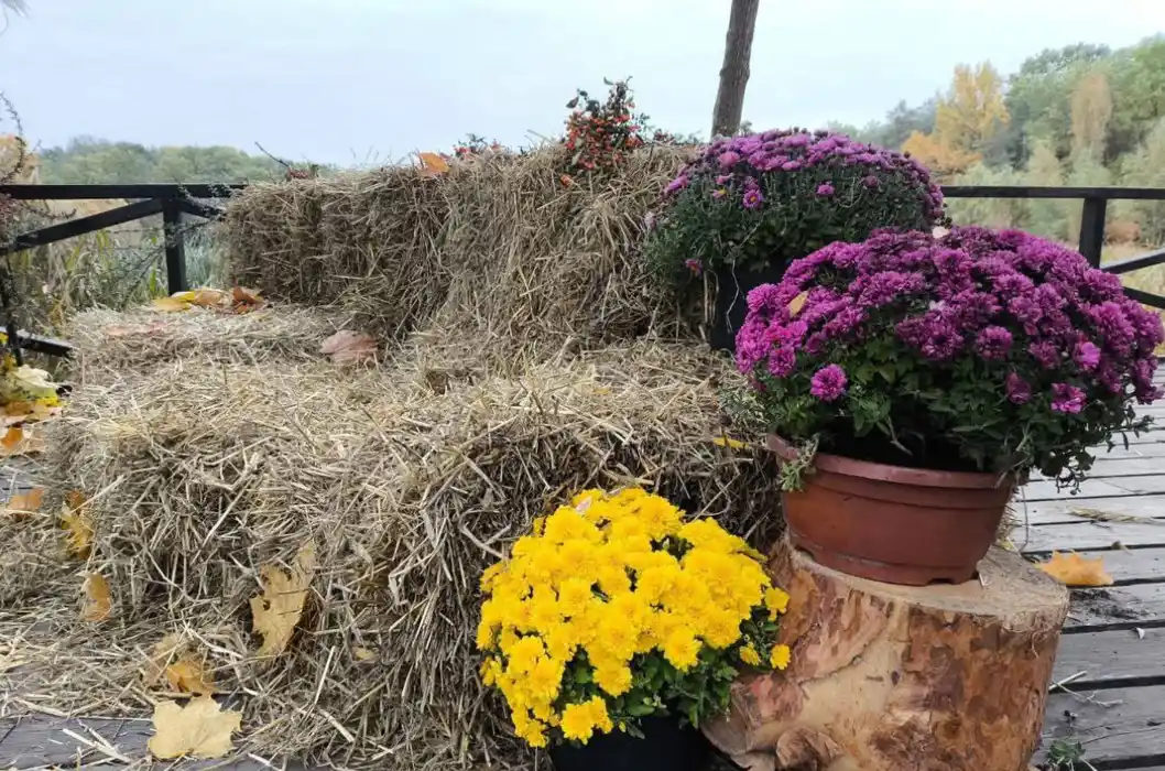 Осінь у смартфоні: у Києві відкрили нову фотолокацію з казковою атмосферою
