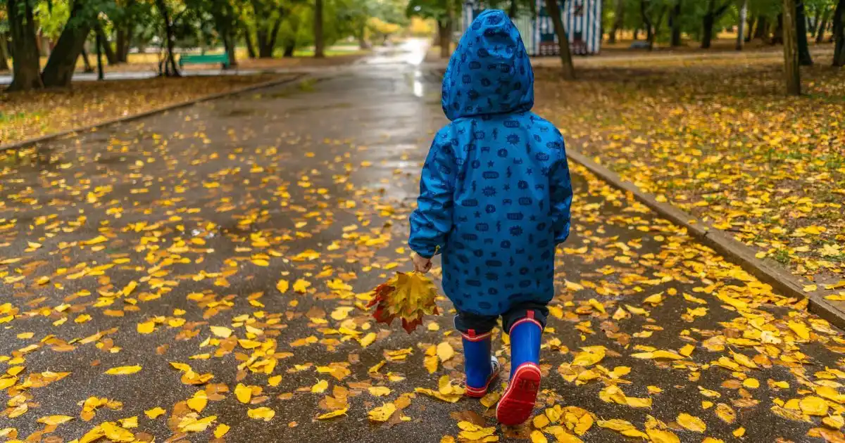 Погода у Києві 23 жовтня: ранковий дощ, теплий день і легкий осінній вітер