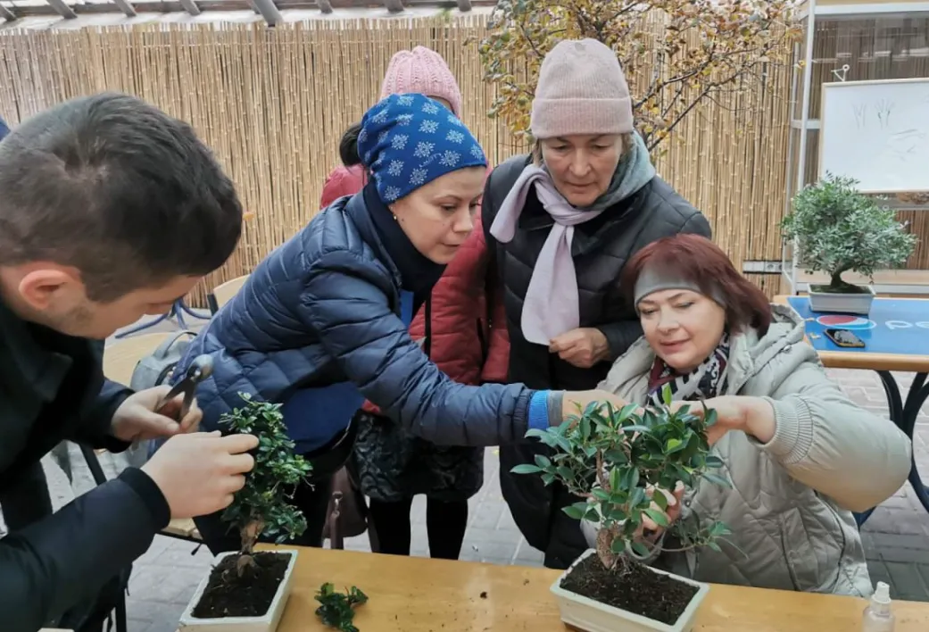 Мистецтво у мініатюрі: у Києві відбувся осінній показ дерев Бонсай