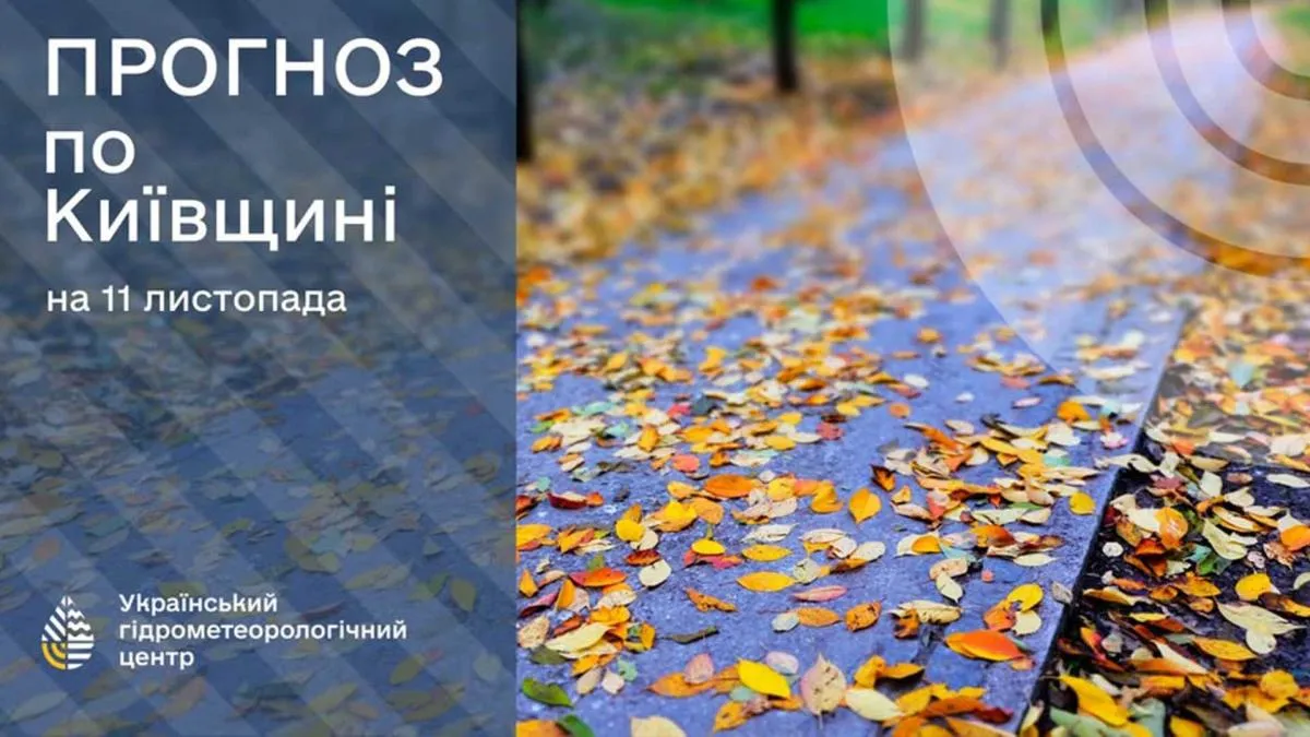 Похмура та дощова неділя: якою буде погода в Києві 11 листопада