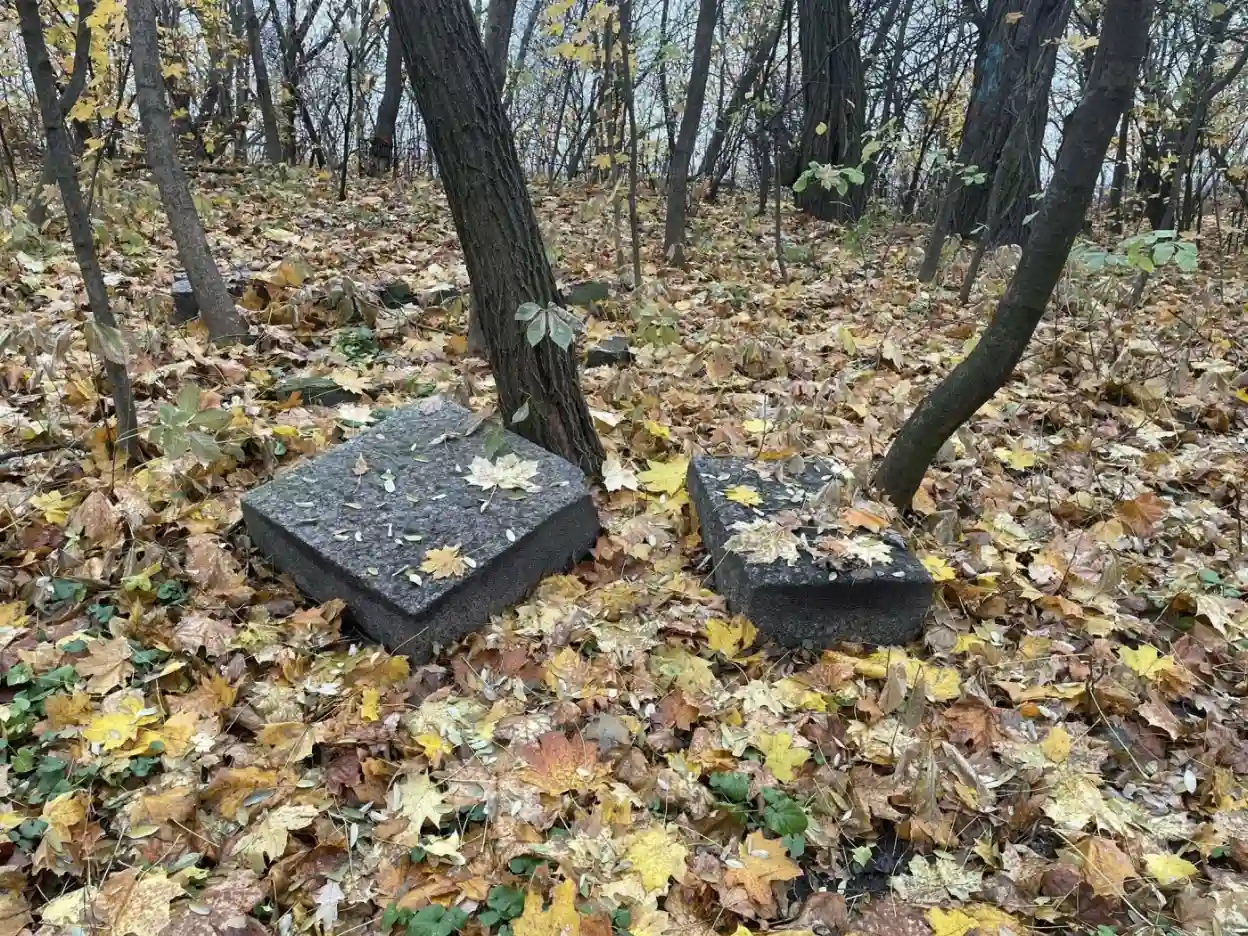 Флорівський цвинтар на Замковій горі: шлях забутого некрополя до захищеної пам’ятки