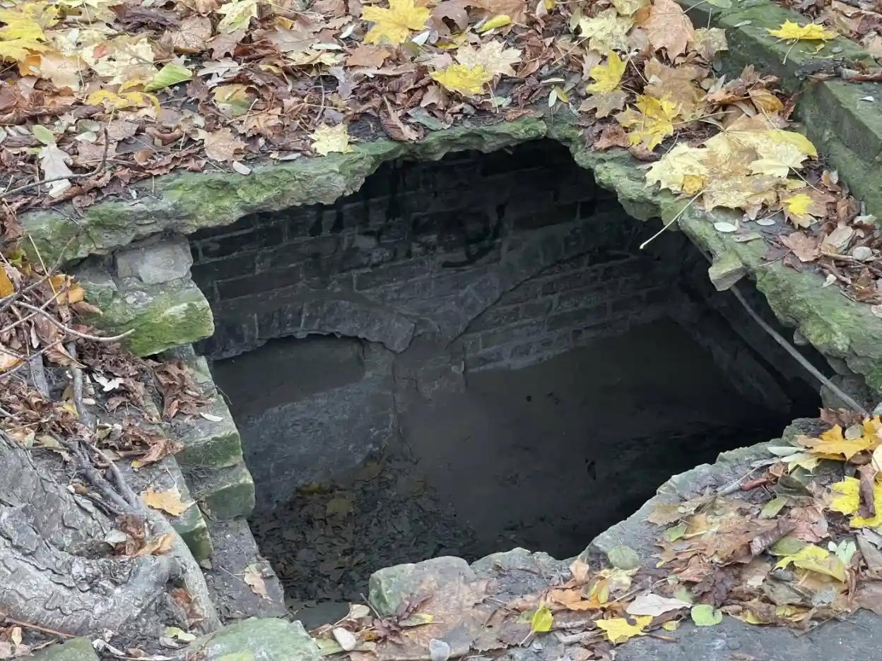 Флорівський цвинтар на Замковій горі: шлях забутого некрополя до захищеної пам’ятки