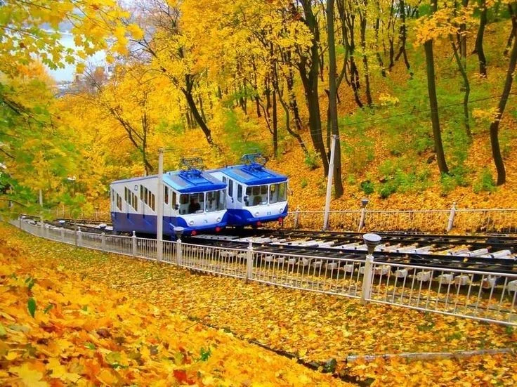 Осінній затишок без дощу: якою буде погода у Києві 27 листопада