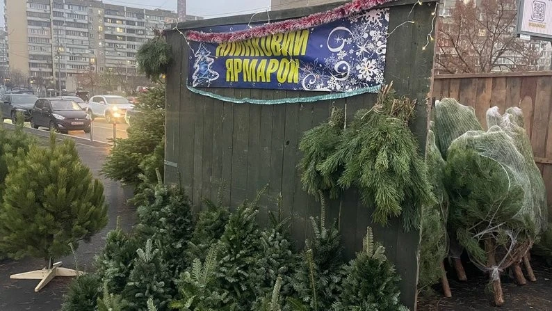 У Києві розпочався сезон ялинкових ярмарків: понад сотня локацій вже працює