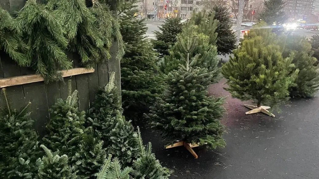 У Києві розпочався сезон ялинкових ярмарків: понад сотня локацій вже працює