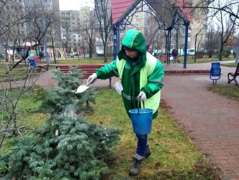 У Києві почали хімічний захист хвойних: містян просять не чіпати дерева