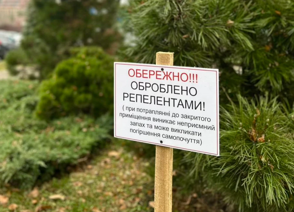 У Києві почали хімічний захист хвойних: містян просять не чіпати дерева
