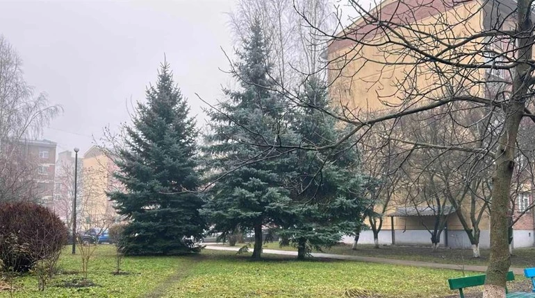 Київ 12 грудня: хмарно, волого і без дощу – температура триматиметься біля +7