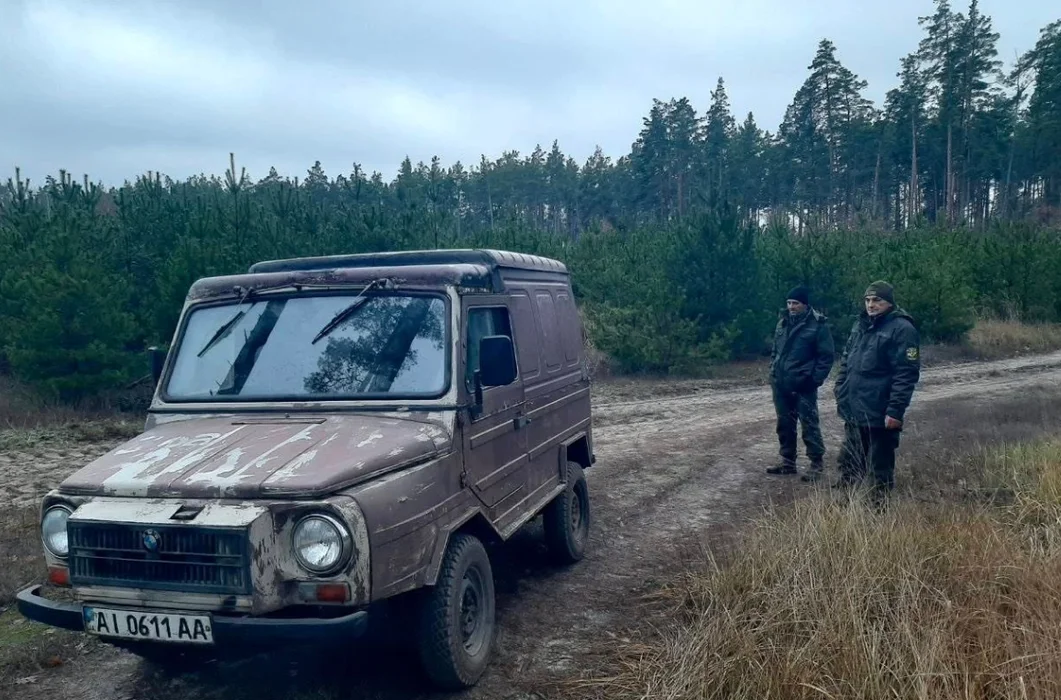 Перед святами в лісах Києва посилили патрулювання: лісники шукають незаконні рубки хвойних