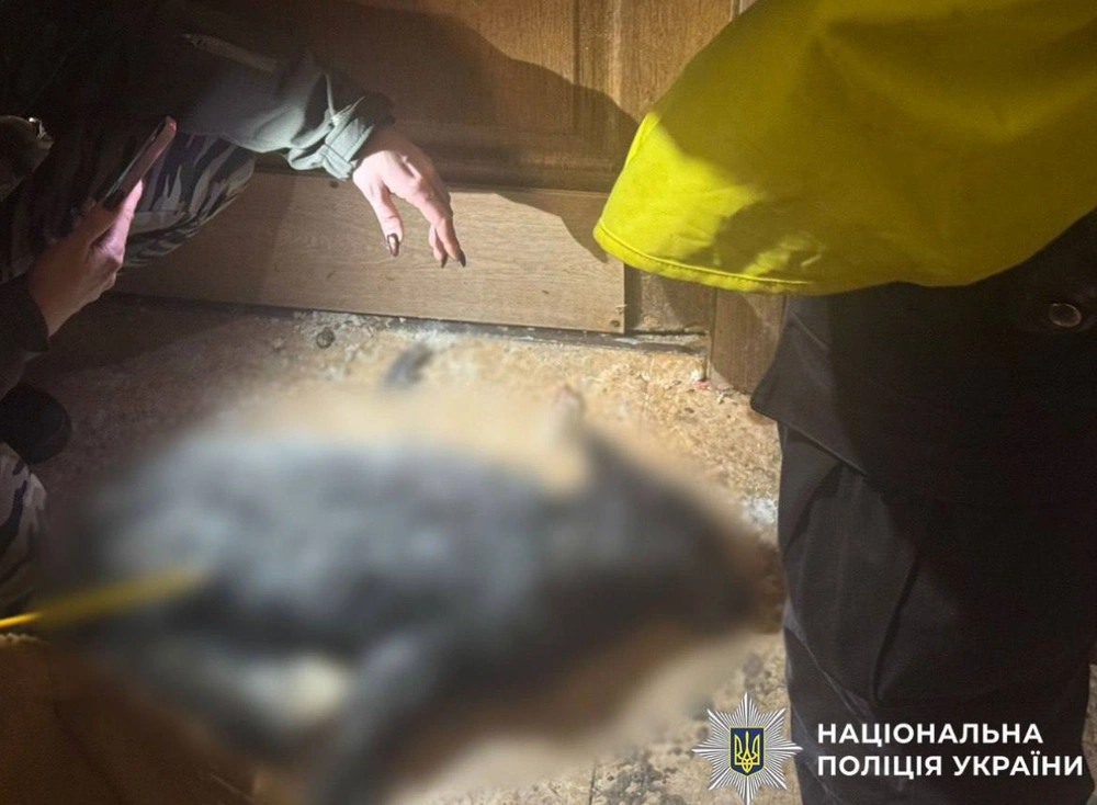 Вовк у столичній оселі: на Оболоні жінка тримала диких тварин, одна з них напала на власницю