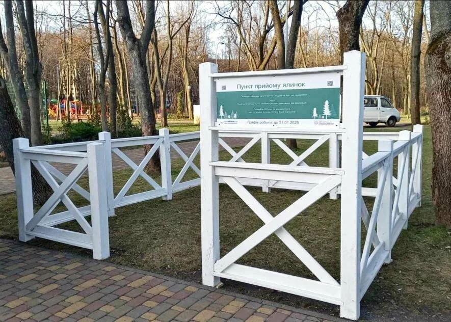 Киянам пропонують екологічний фінал свят: де здати новорічні ялинки на переробку