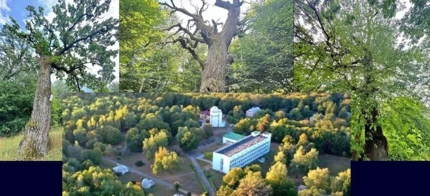Підпільні уроки в центрі столиці: як у монастирі навчали дітей за радянськими стандартами