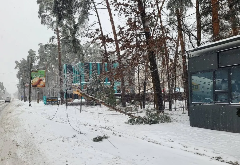 Нічна негода на Київщині залишила без світла громади та паралізувала дороги