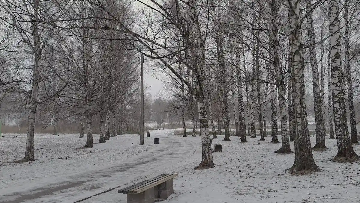 Мороз тримає столицю: якою буде погода в Києві 11 січня