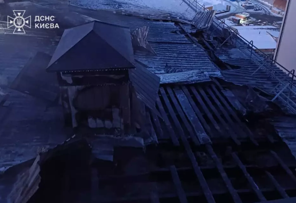 Тепло на межі виживання: київські оранжереї борються за життя тисяч рослин