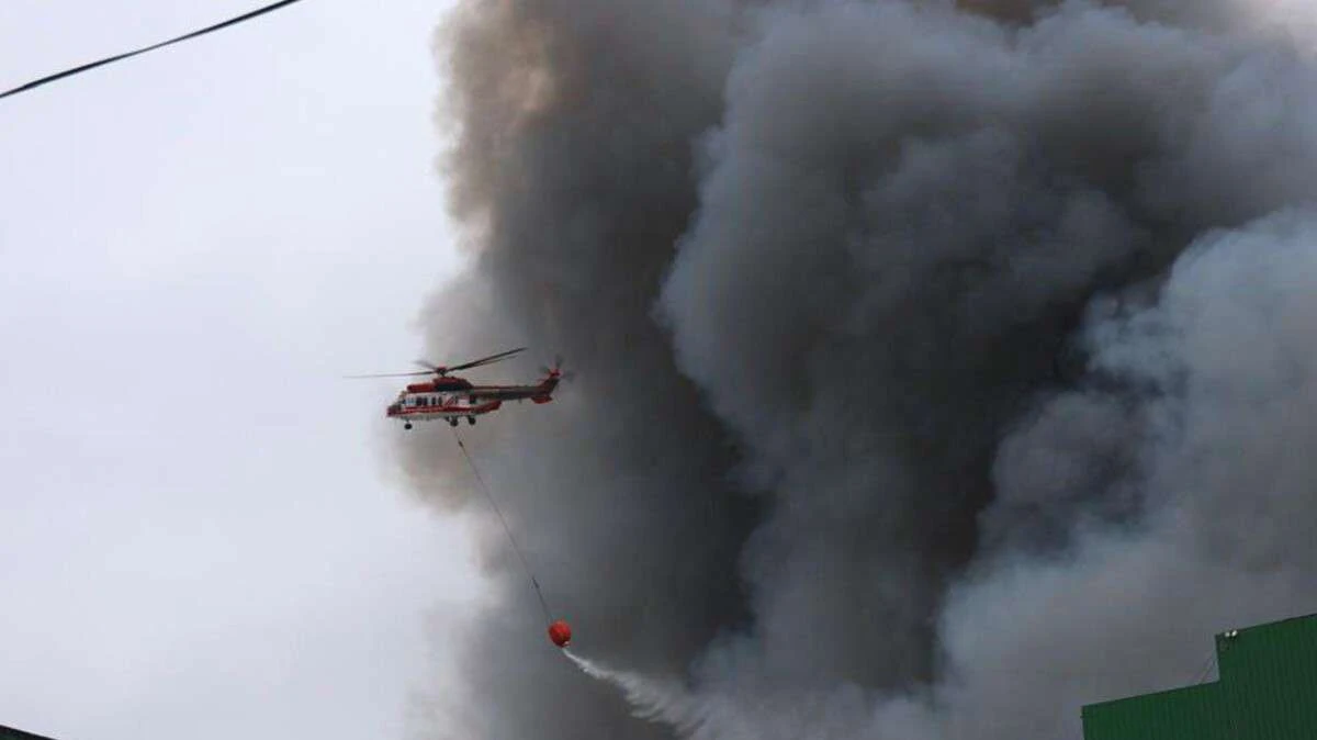Морозний спокій у столиці: як Київ зустрічає 24 січня