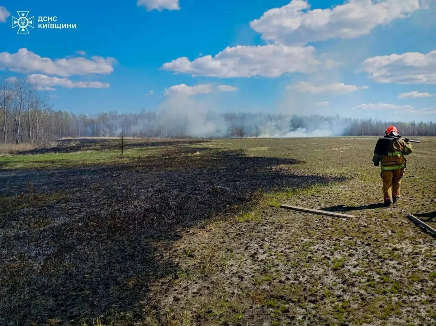 Київська область у вогні: стихія знищила понад 500 гектарів екосистем