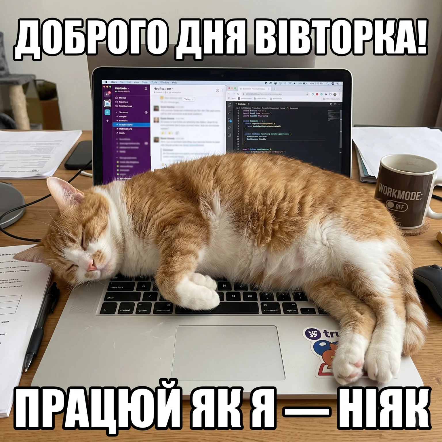 Доброго дня вівторка: найкращі картинки та щирі побажання для гарного настрою
