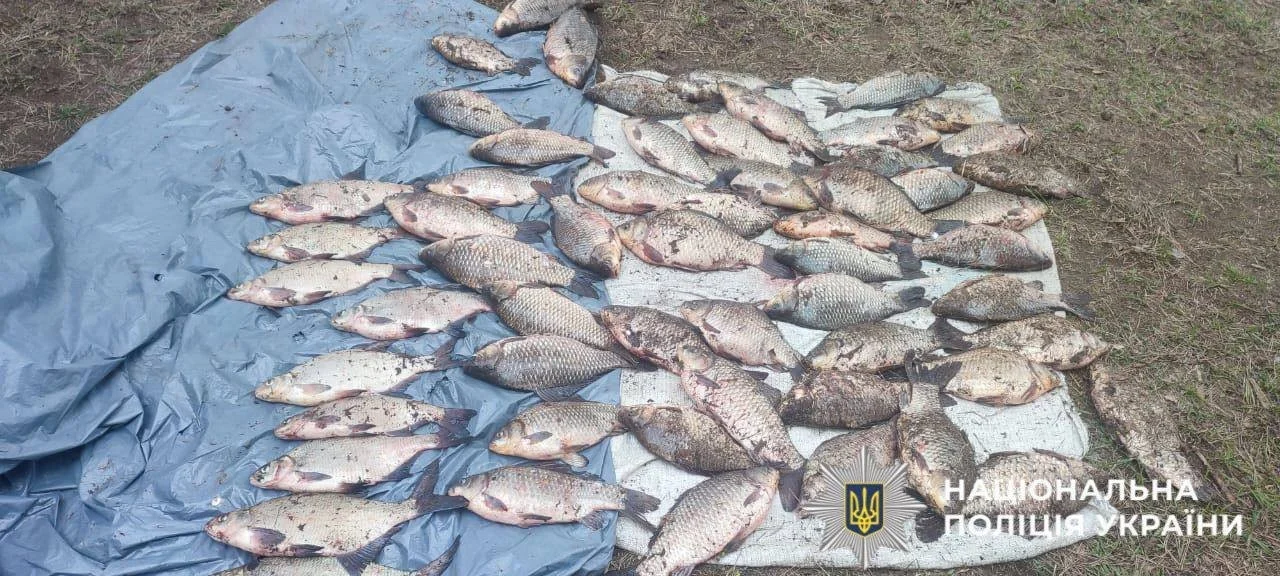 Сітка вартістю в 90 тисяч: на річці Ірпінь піймали браконьєра під час нересту