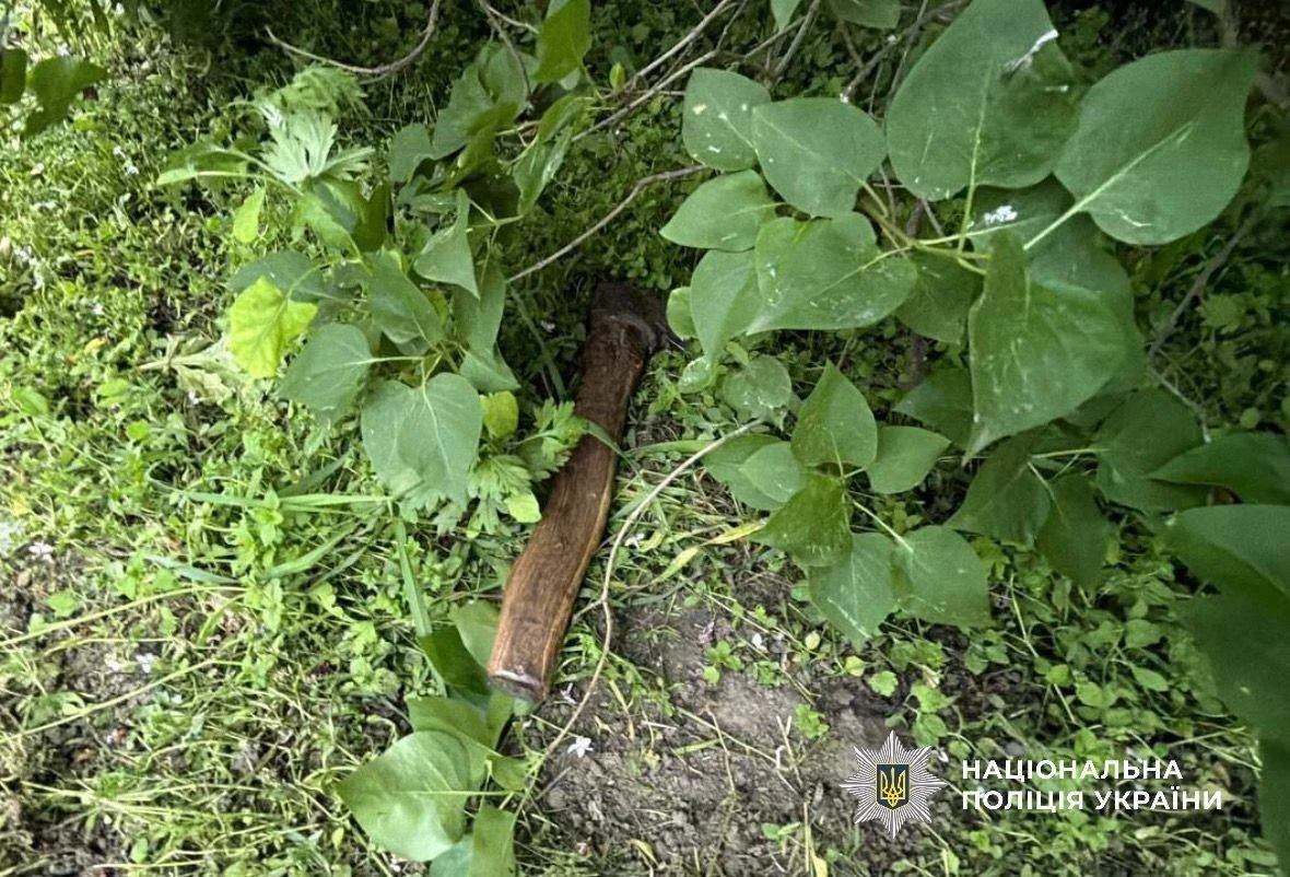 Замах на вбивство через фінанси: на Київщині чоловік ледь не позбавив життя рідну сестру