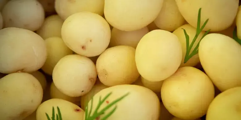 Київ анонсував проведення продуктових ярмарків: де шукати локації