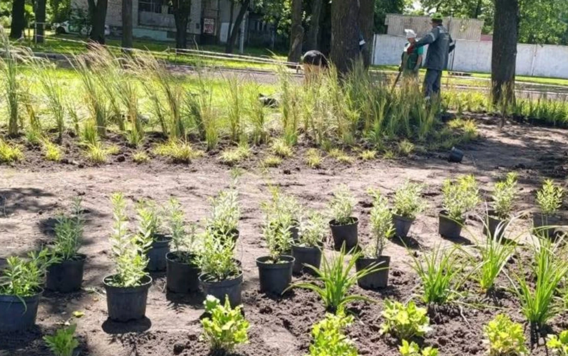 Столиця протидіє підтопленням за допомогою рослин: на Дарниці з’явилася перша зелена локація нового типу
